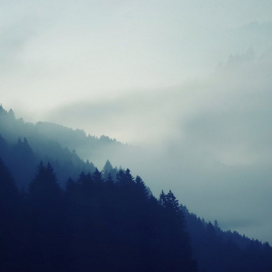 Обои Кингсмок 1