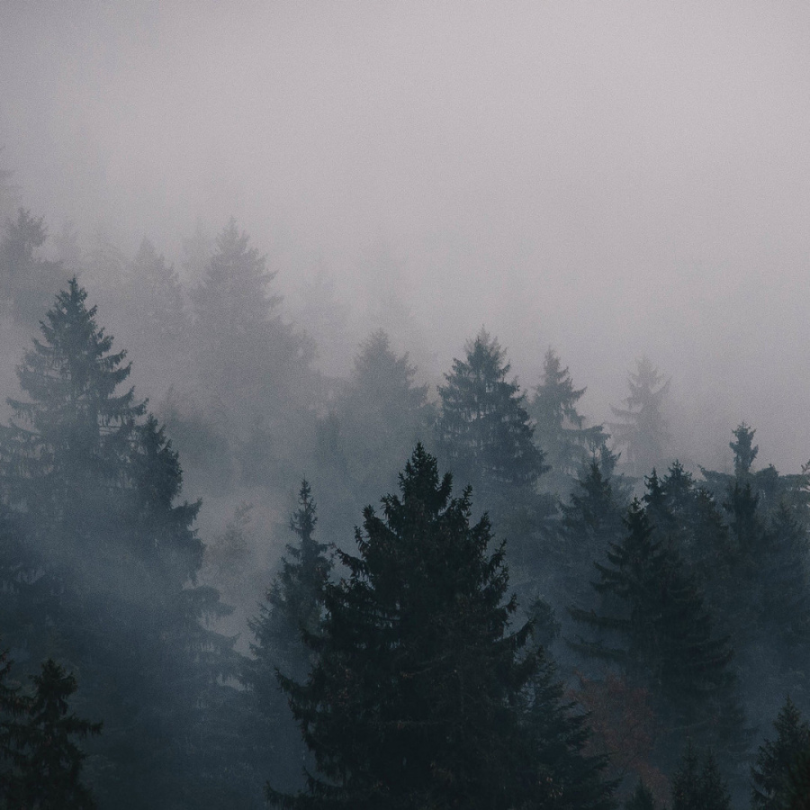 Обои Вояджерс 1