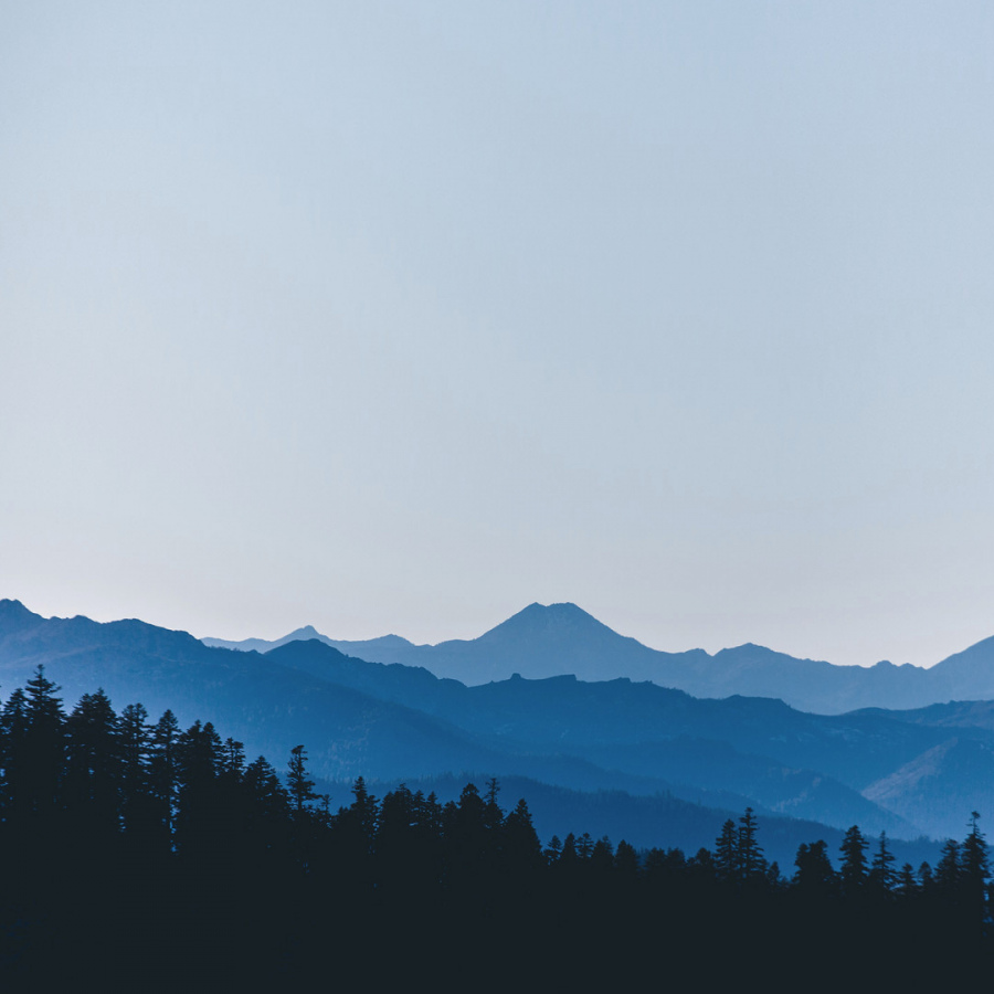 Обои Конгари 1