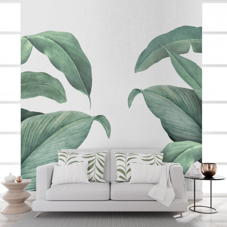 Обои Аспидистра 1