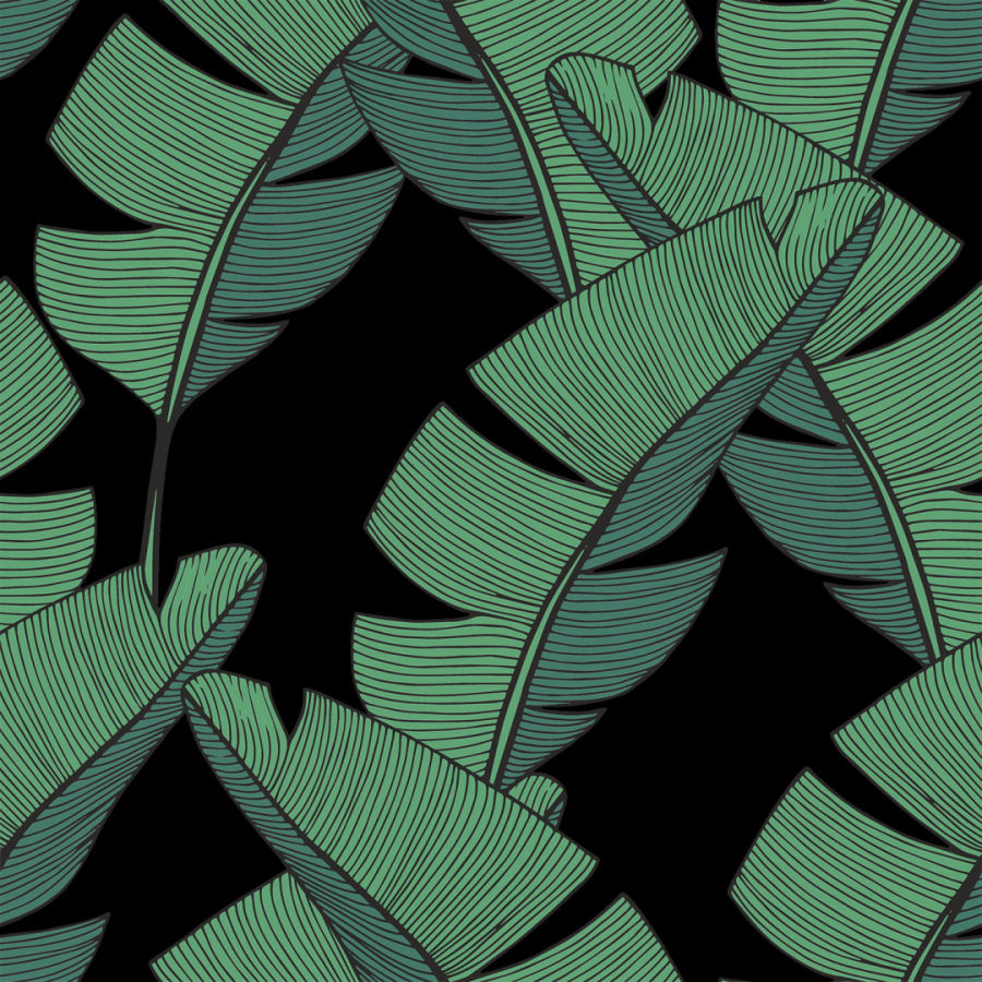 Обои Птерис 1