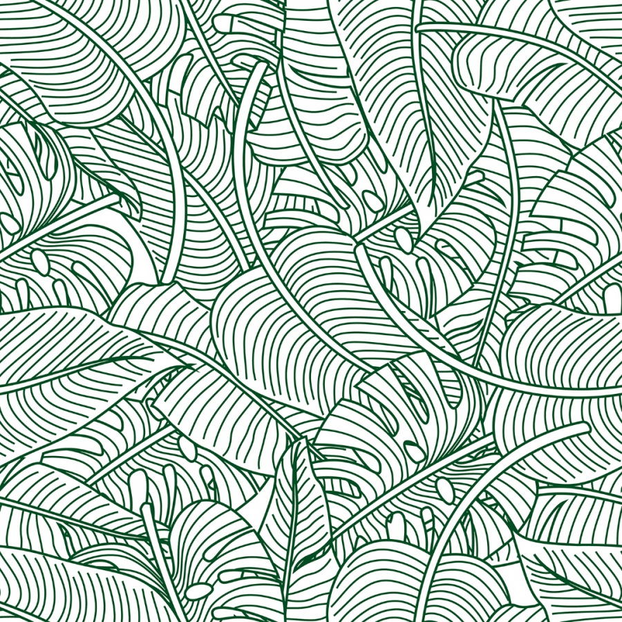 Обои Филодендрон 1