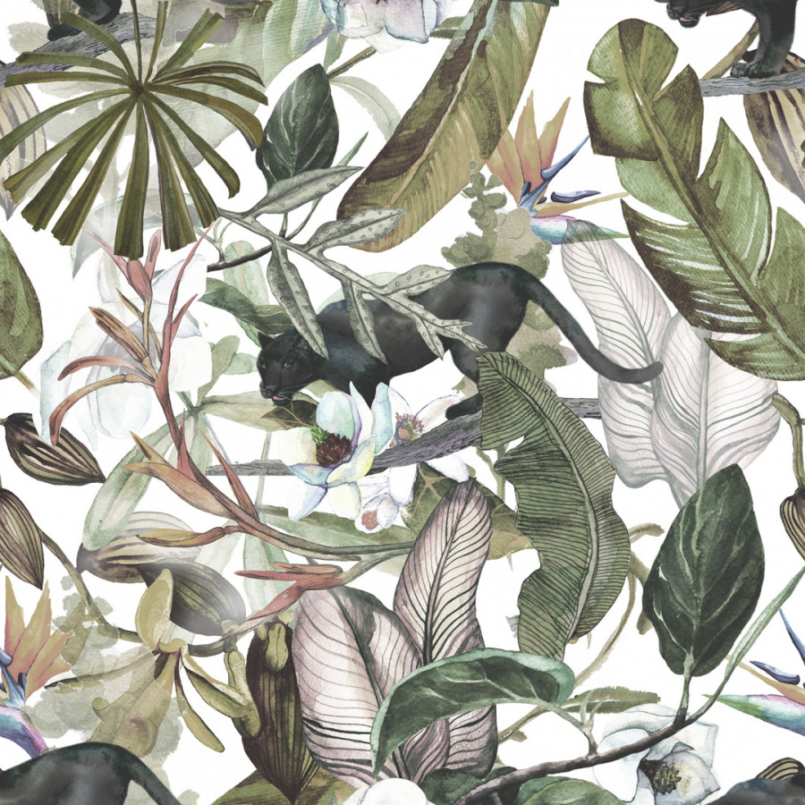 Обои Стрелиция 1