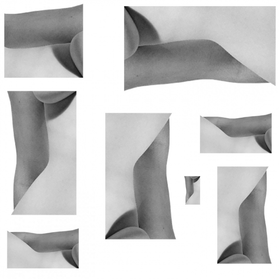 Обои Репликация 1