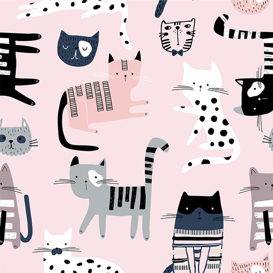 Обои Спотти 1