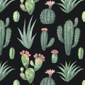 Обои Кактозем маленкие 1