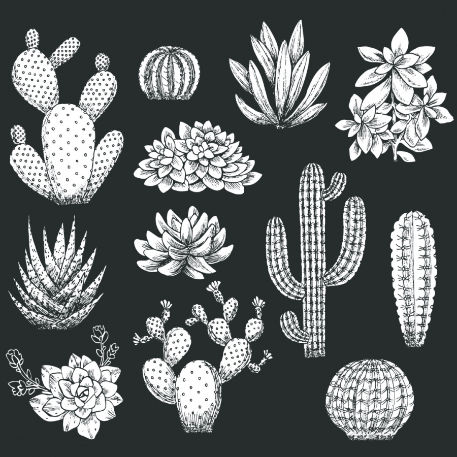 Обои Катонеро 1