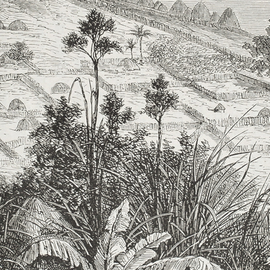 Обои Туамоту 1