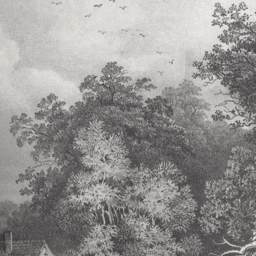 Обои Мехетиа 1