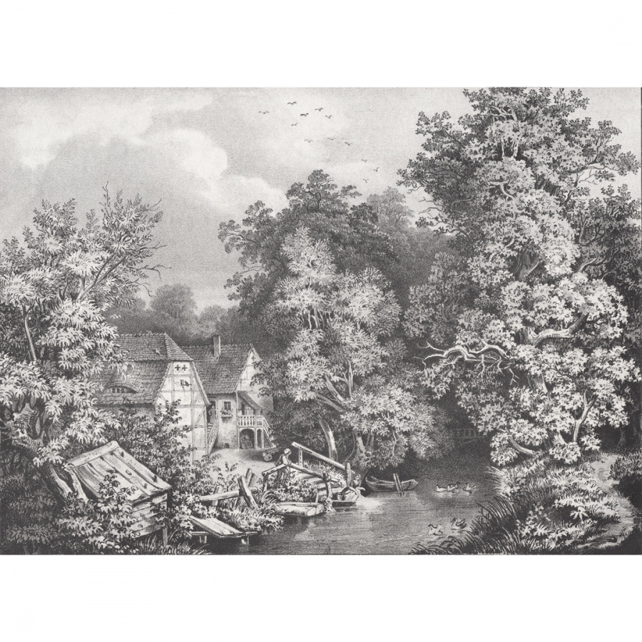 Обои Мехетиа 1