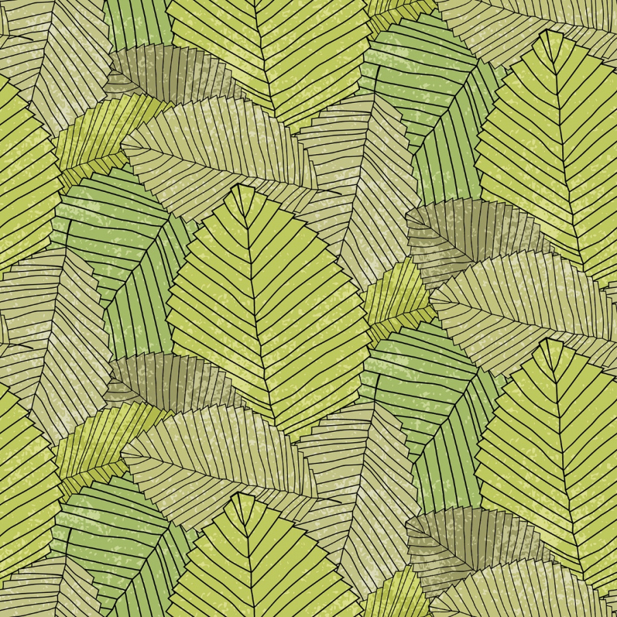 Обои Бетула 1