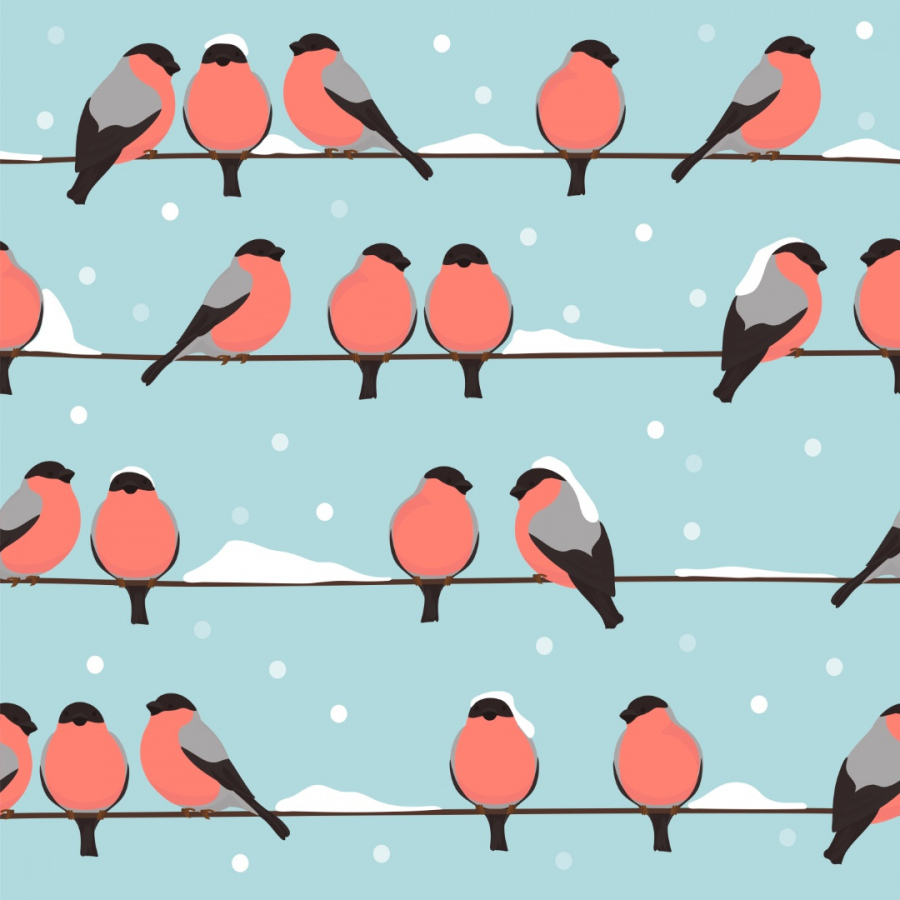 Обои Снегириус 1