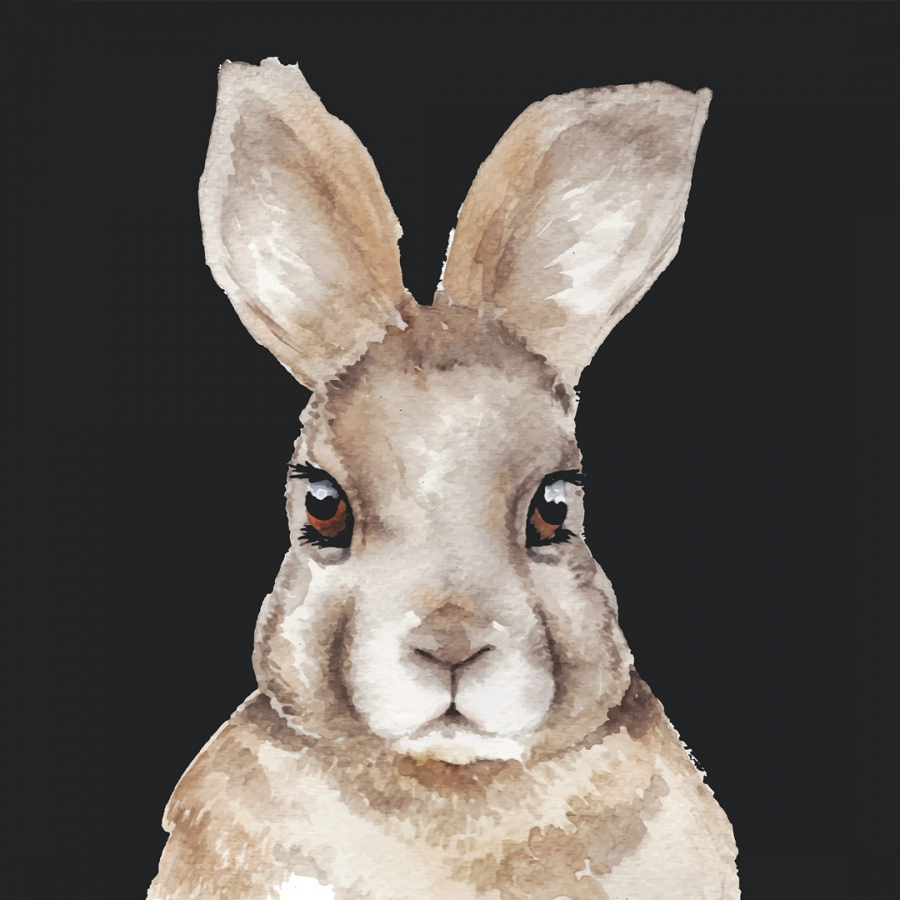 Обои Рэббит 1