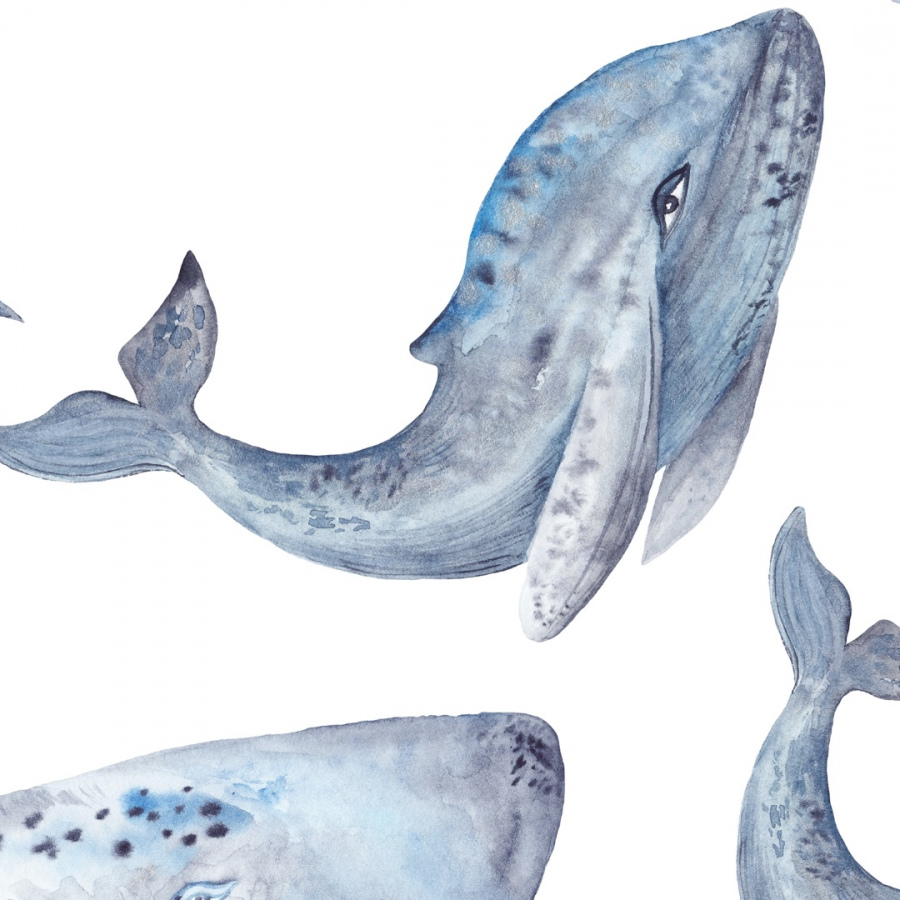 Обои Пайкея 1