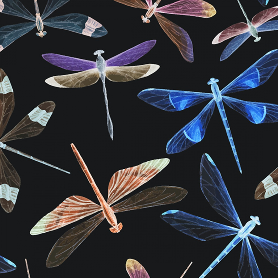 Обои Саммэрнайт 1