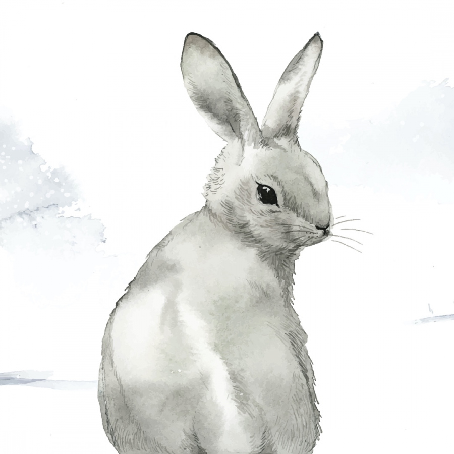 Обои Лонли 1