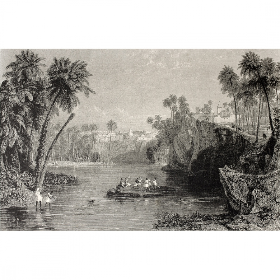 Обои Фелиду 1