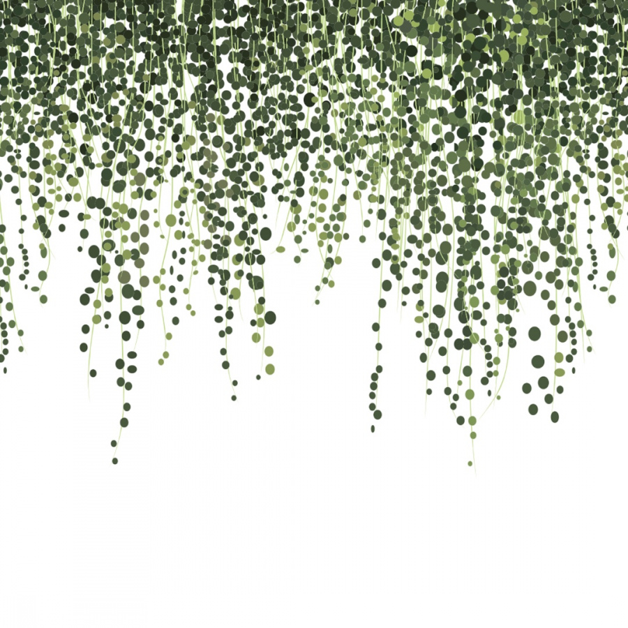 Обои Фиттония 1