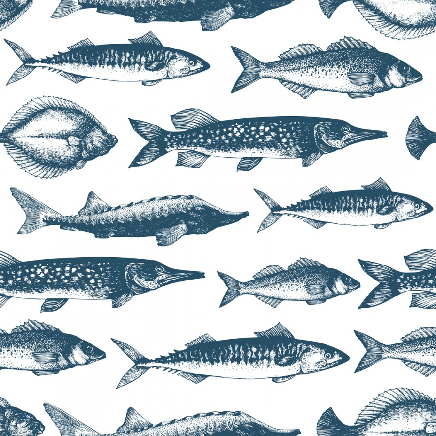 Обои Асаги 1