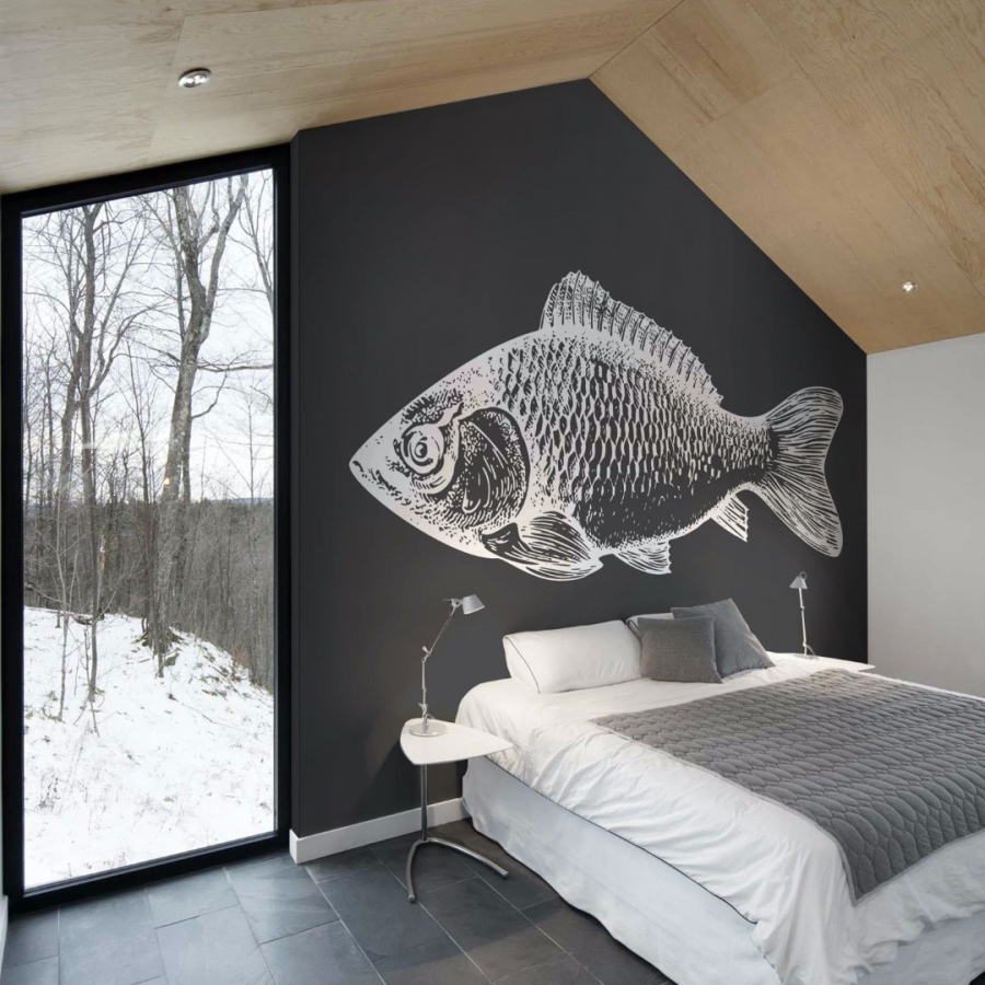 Обои Карасий 1