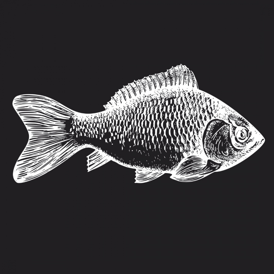 Обои Карасий 1