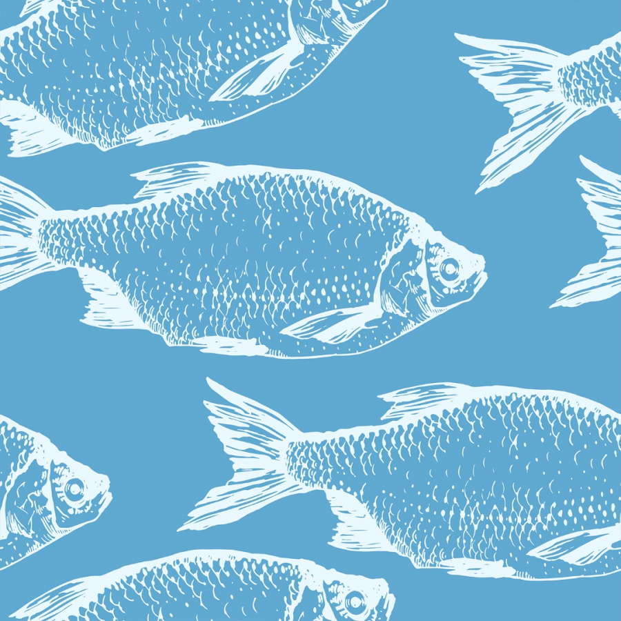 Обои Либра 1